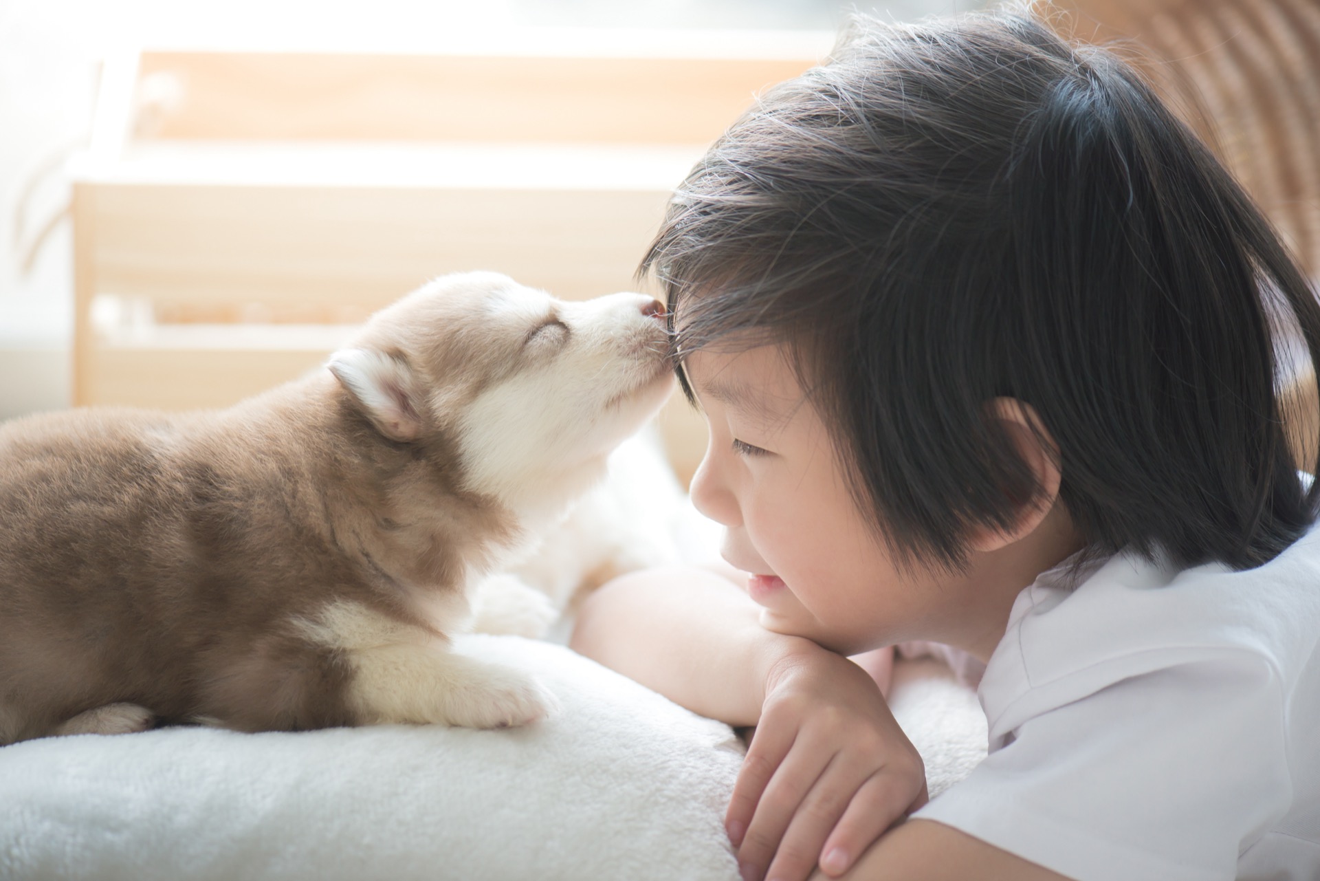 ペットの健康を定期的にチェックしたい方